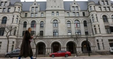 The Difference Between Immigration Court and Federal Court in Detention Cases